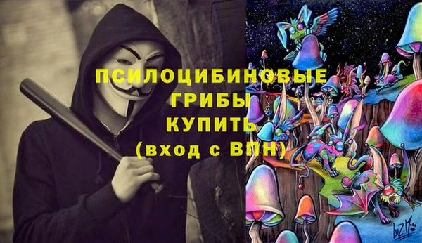 скорость Белокуриха